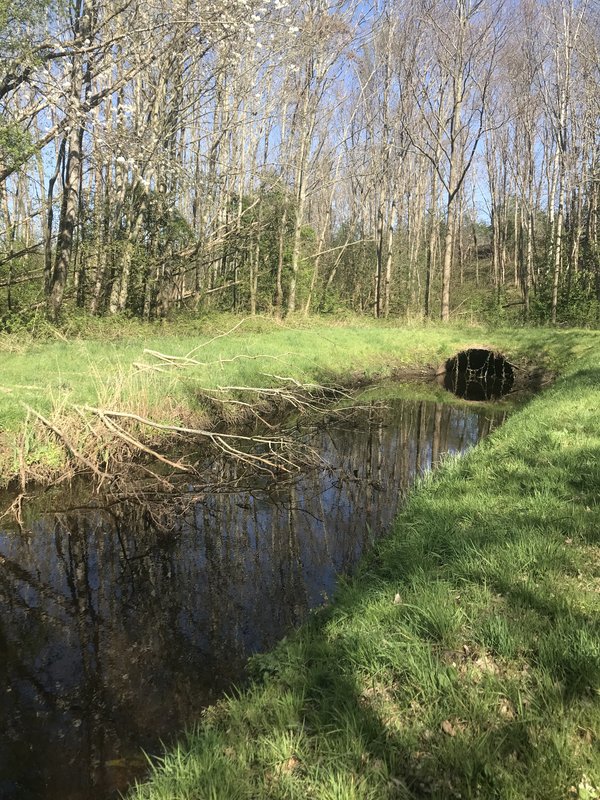 habitat