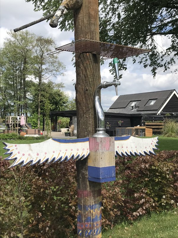 kraanvogel